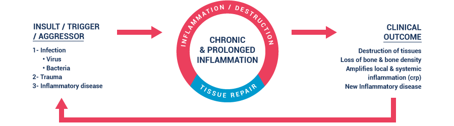 chronic and prolonged inflammation graphic