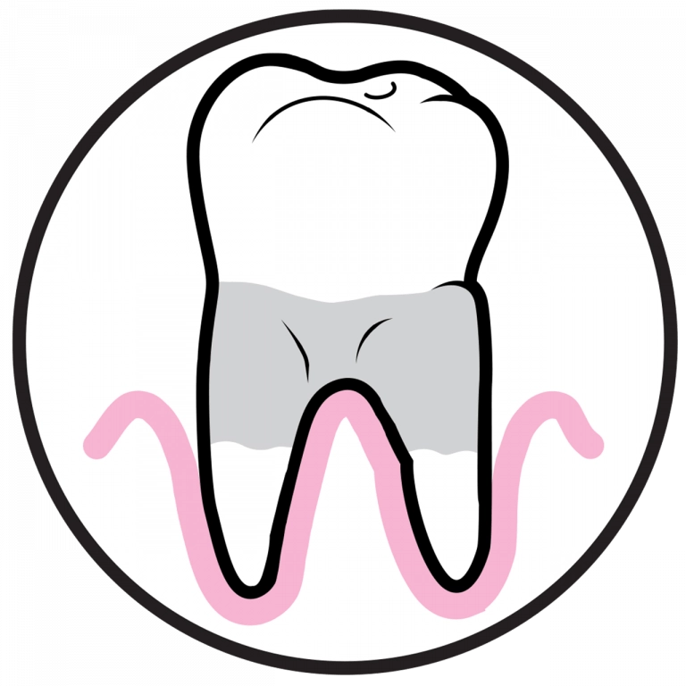 Gerodontology